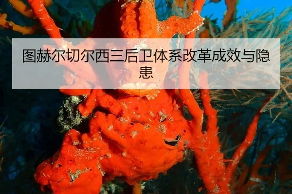 tu-he-er-qie-er-xi-san-hou-wei-ti-xi-gai-ge-cheng-xiao-yu-yin-huan-3-551.jpg