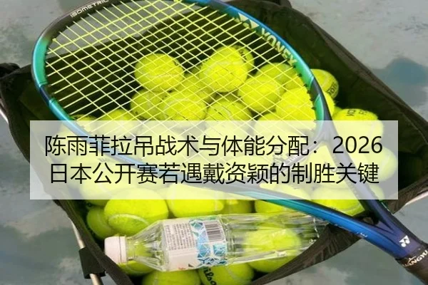chen-yu-fei-la-diao-zhan-shu-yu-ti-neng-fen-pei-ri-ben-gong-kai-sai-ruo-yu-dai-zi-ying-de-zhi-sheng-guan-jian-3-272.jpg